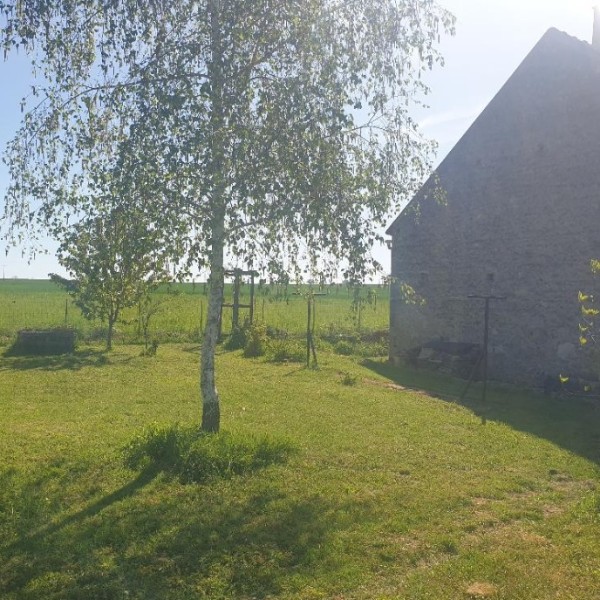 Foto dell'alloggio