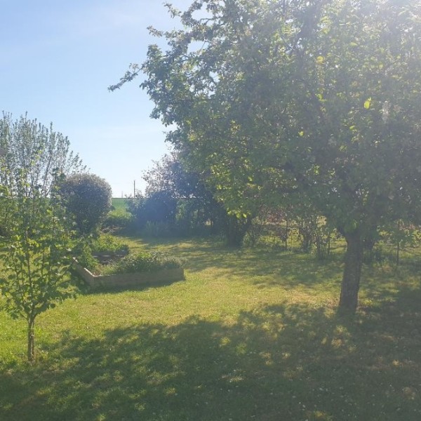 Foto dell'alloggio
