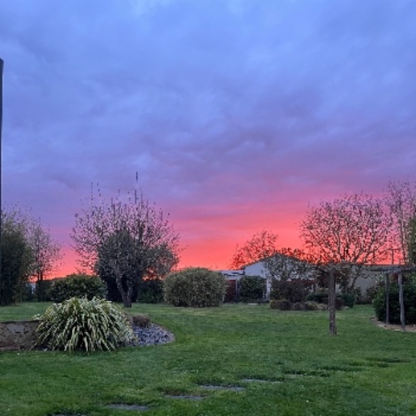 Foto dell'alloggio