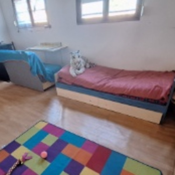 Foto dell'alloggio