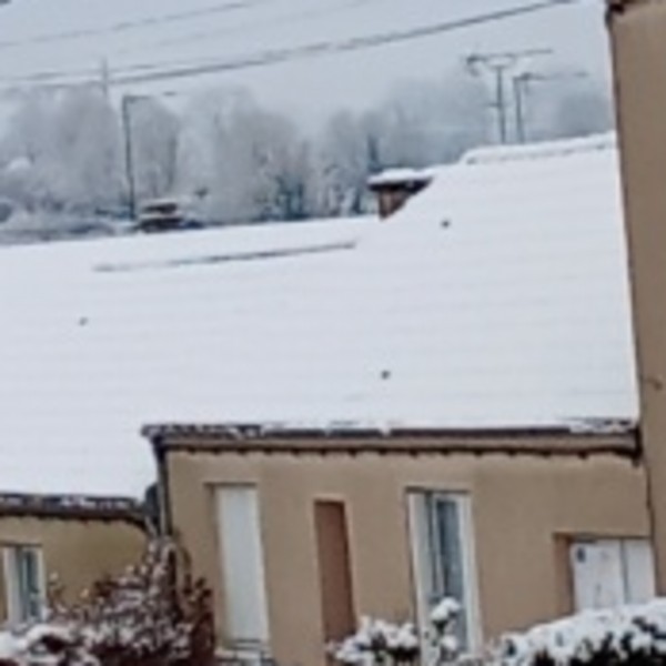 Foto dell'alloggio