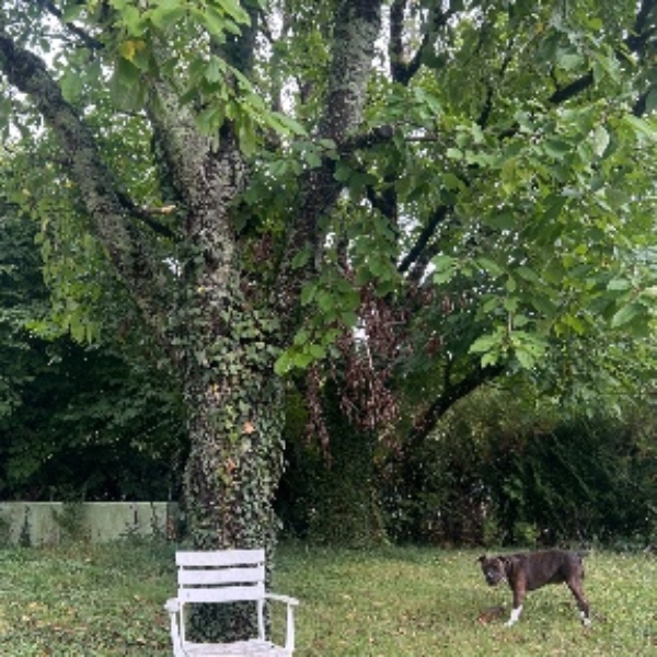 Foto dell'alloggio