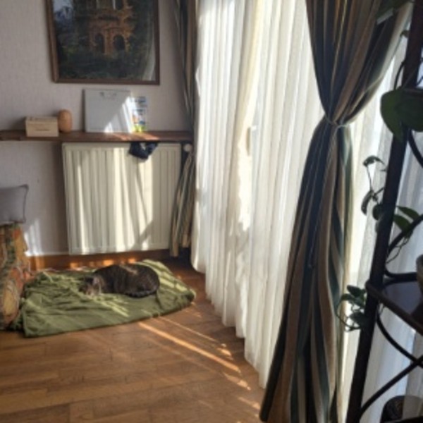 Foto dell'alloggio