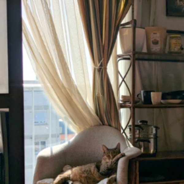 Foto dell'alloggio
