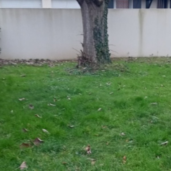 Foto dell'alloggio