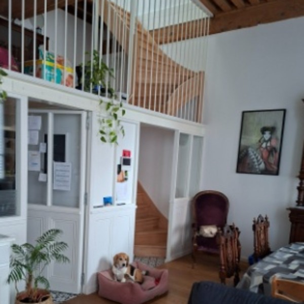 Foto dell'alloggio