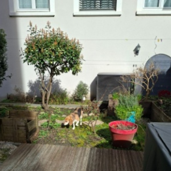 Foto dell'alloggio