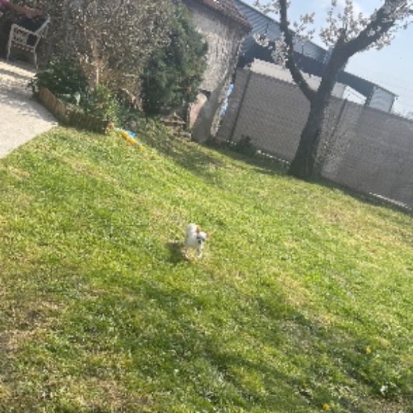 Foto dell'alloggio