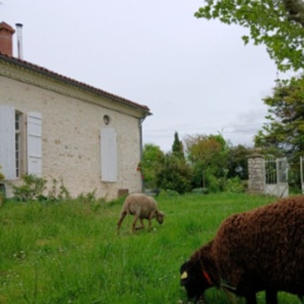 Foto dell'alloggio