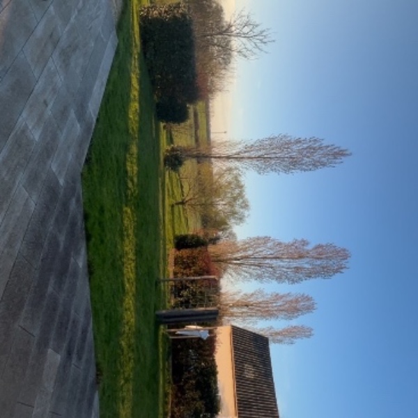 Foto dell'alloggio
