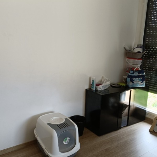 Foto dell'alloggio