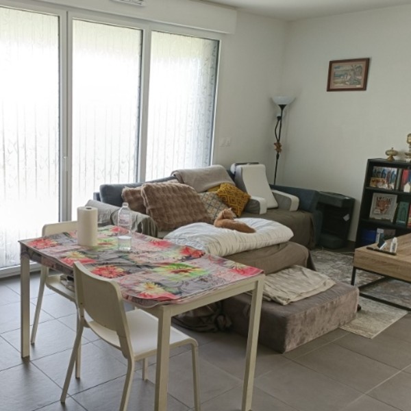 Foto dell'alloggio
