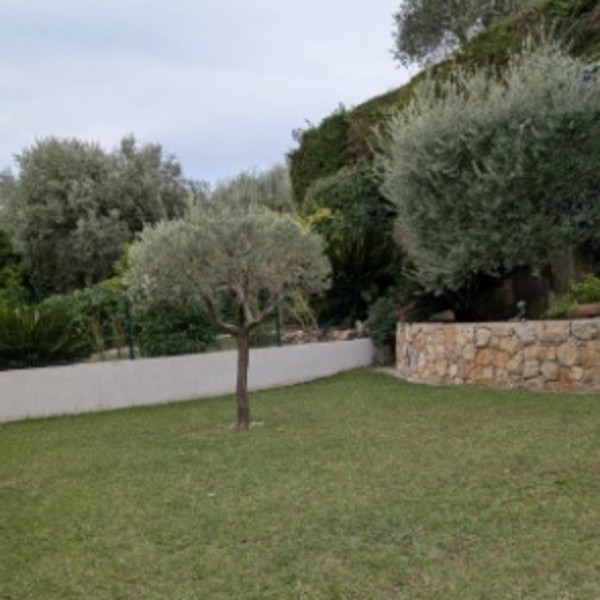 Foto dell'alloggio