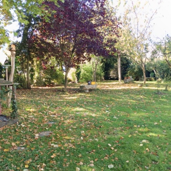 Foto dell'alloggio
