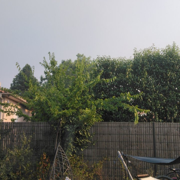 Foto dell'alloggio