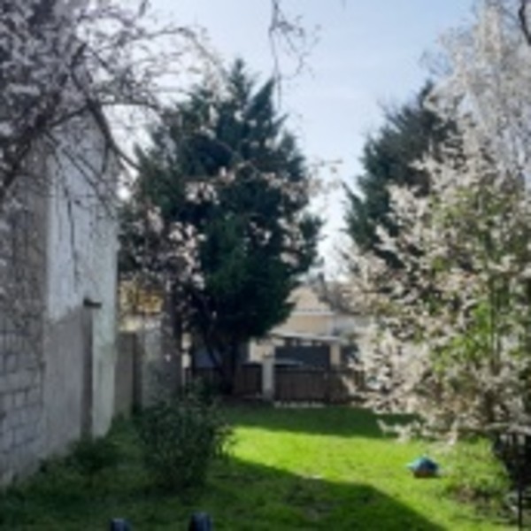 Foto dell'alloggio