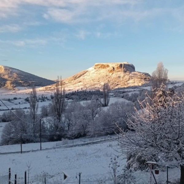 Foto dell'alloggio