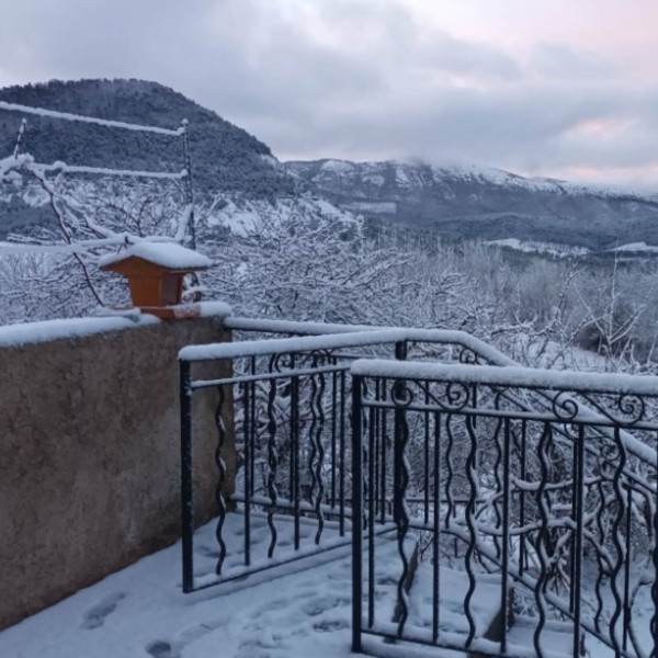 Foto dell'alloggio