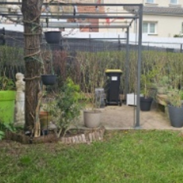 Foto dell'alloggio