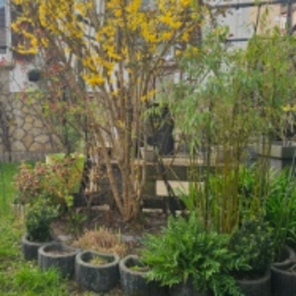 Foto dell'alloggio