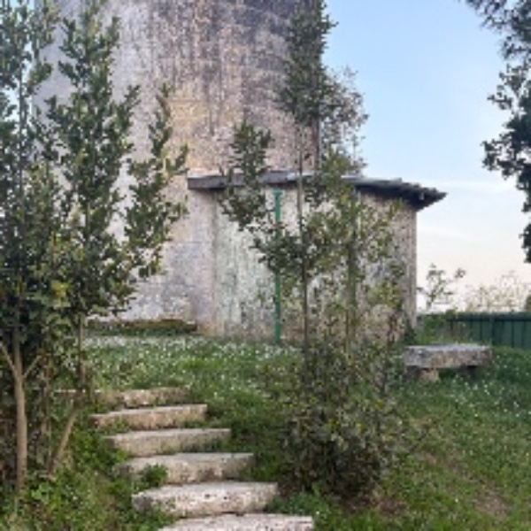 Foto dell'alloggio