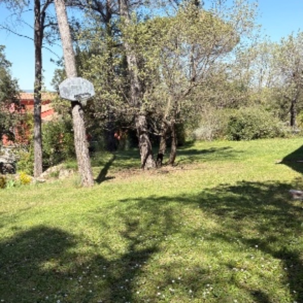 Foto dell'alloggio
