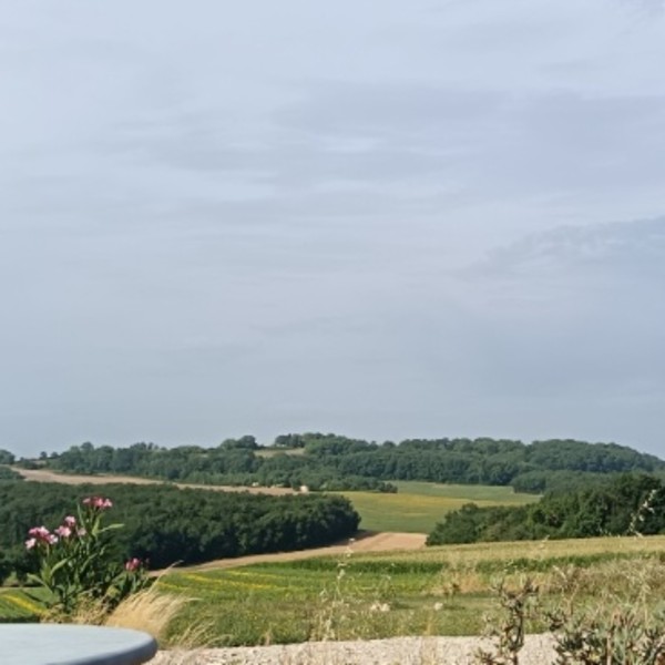 Foto dell'alloggio
