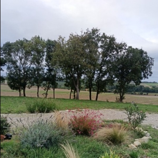 Foto dell'alloggio