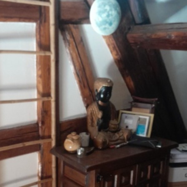 Foto dell'alloggio