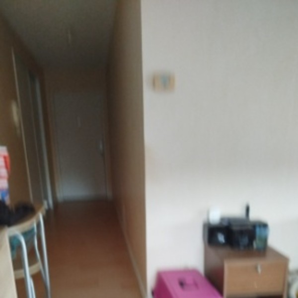 Foto dell'alloggio