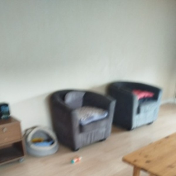 Foto dell'alloggio