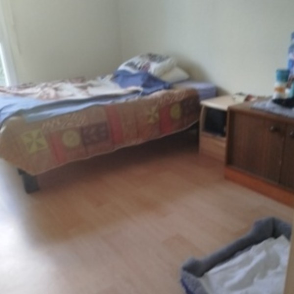 Foto dell'alloggio