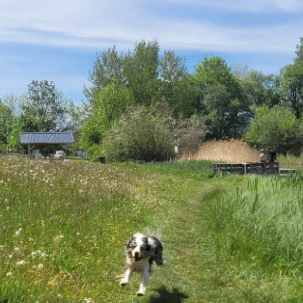 Foto dell'alloggio