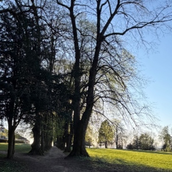 Foto dell'alloggio