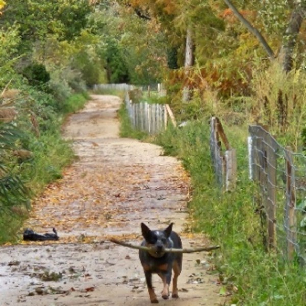 Foto dell'alloggio