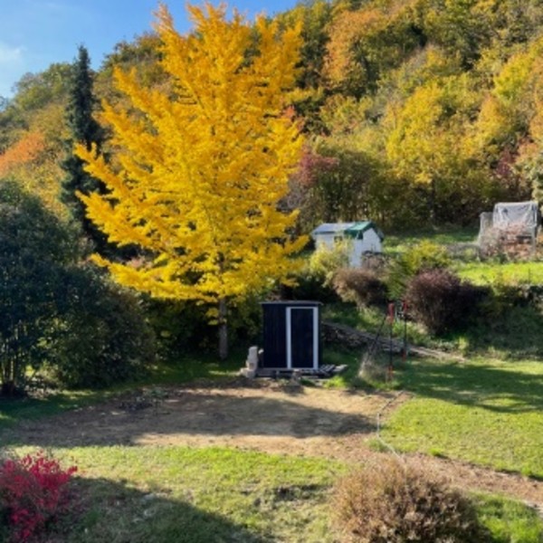 Foto dell'alloggio