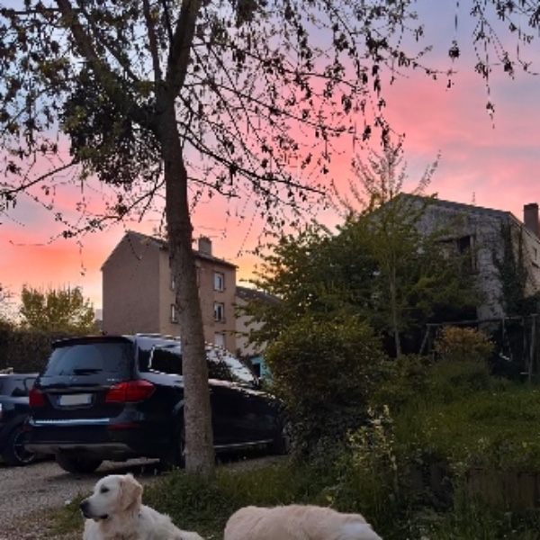 Foto dell'alloggio