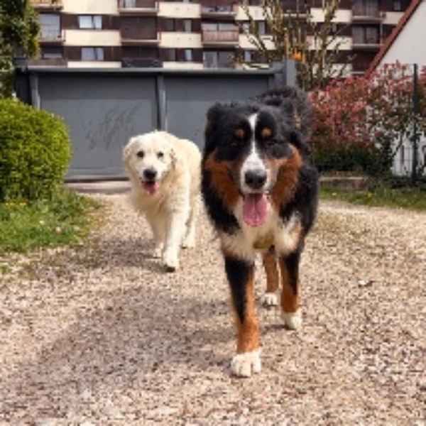 Foto dell'alloggio