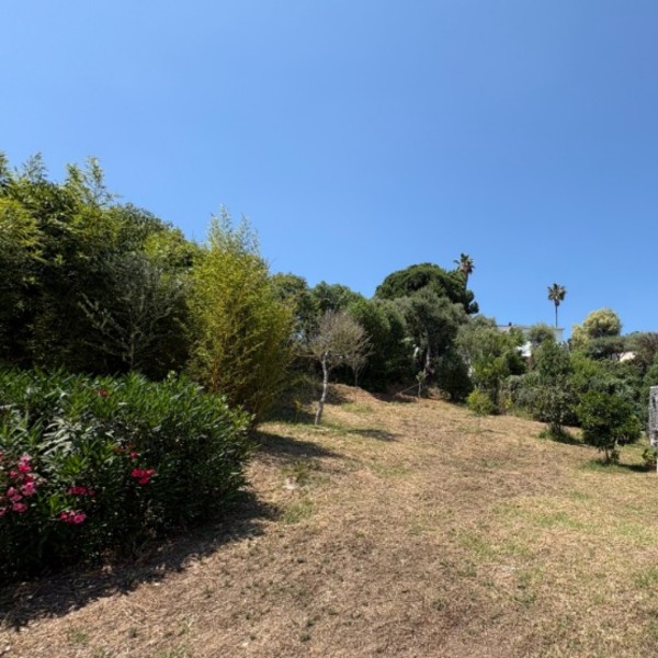 Foto dell'alloggio