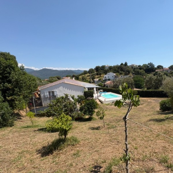 Foto dell'alloggio