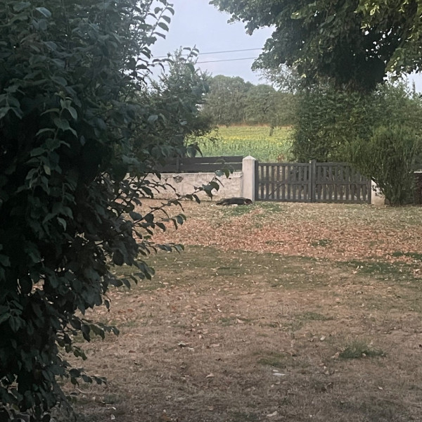 Foto dell'alloggio