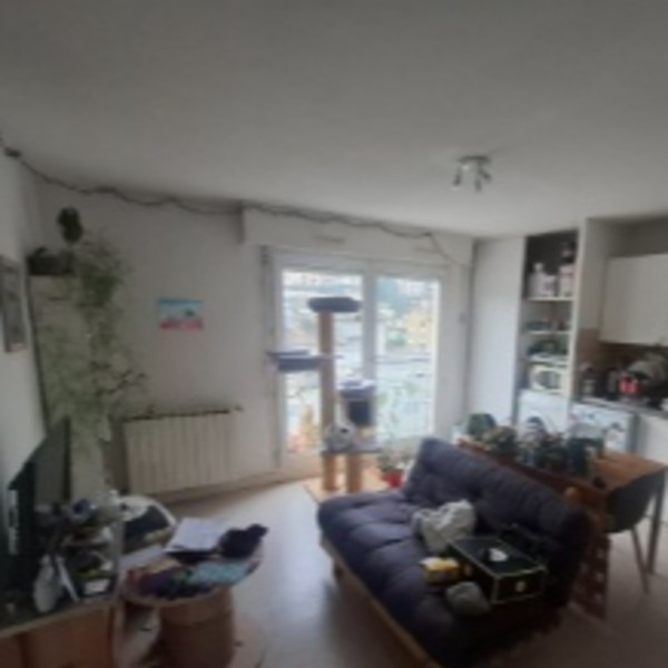 Foto dell'alloggio