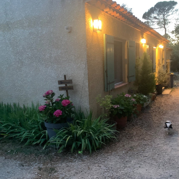 Foto dell'alloggio