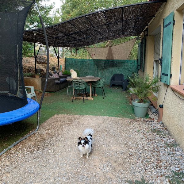 Foto dell'alloggio