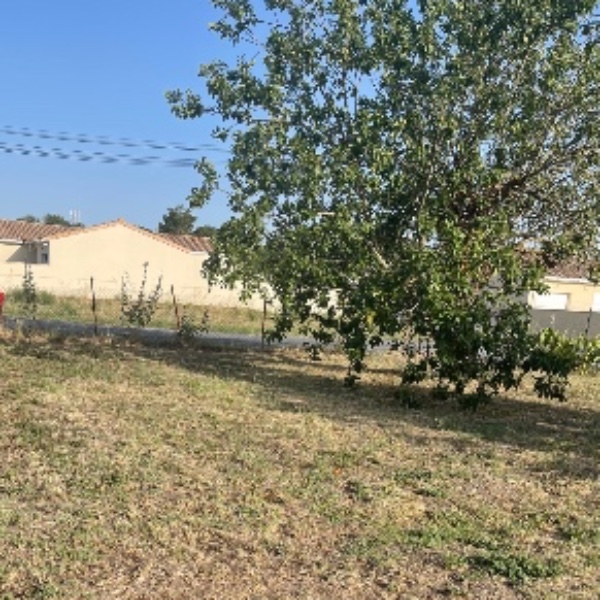 Foto dell'alloggio