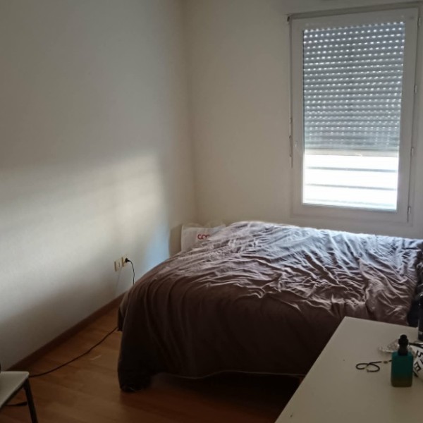 Foto dell'alloggio