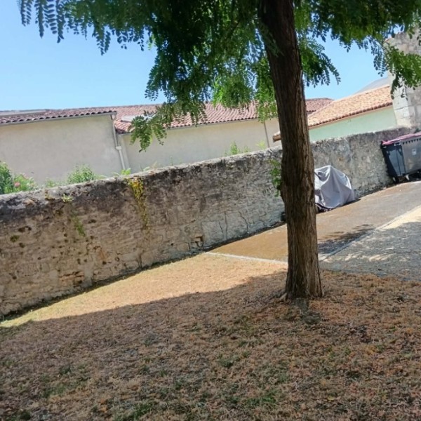 Foto dell'alloggio