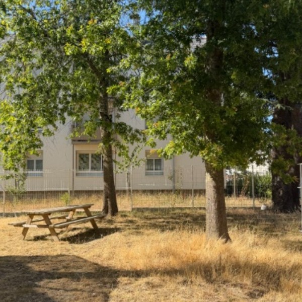 Foto dell'alloggio