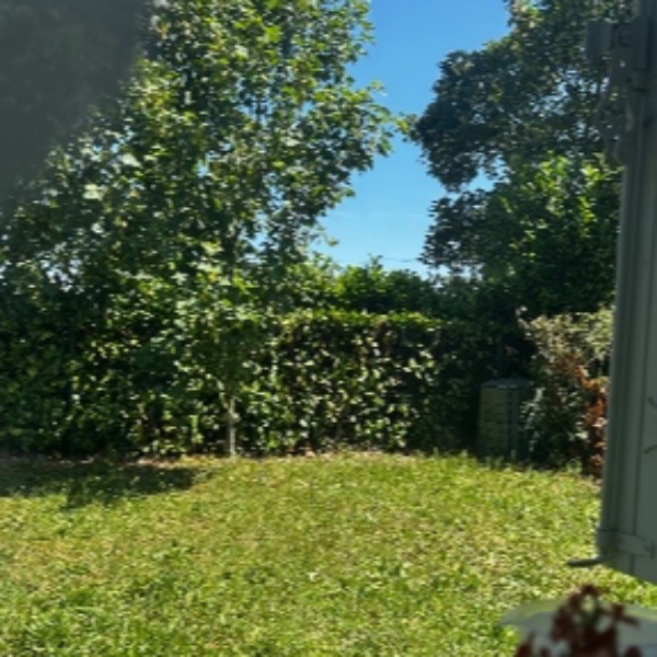 Foto dell'alloggio