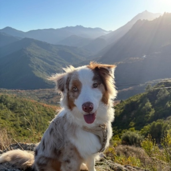 Foto dell'alloggio